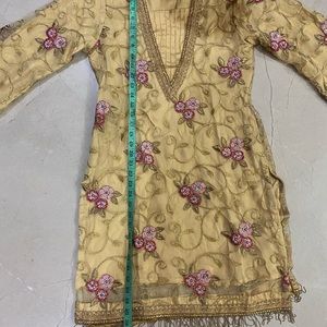 Indian Pakistani fancy wedding wear